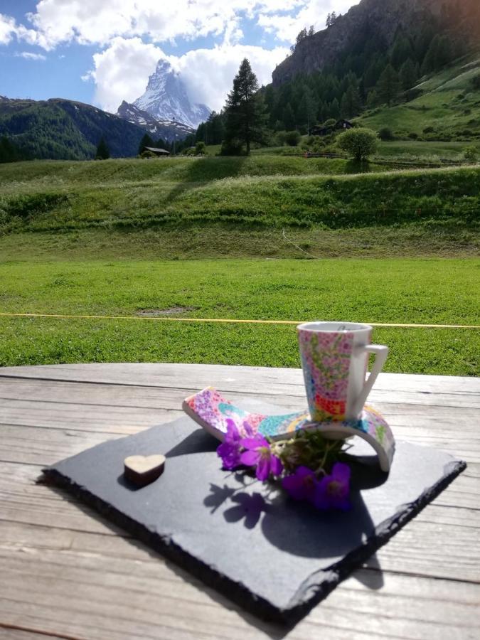 Emelie Zermatt 4**** Apartment Ngoại thất bức ảnh